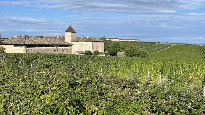 Wein, soweit das Auge reicht