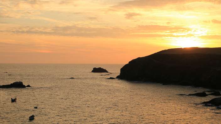 Lizard Point