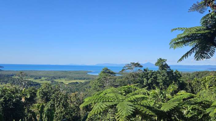 Daintree National Park