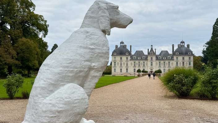 Château de Cheverny 