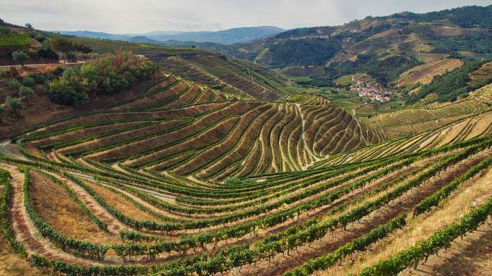 Douro Tal 