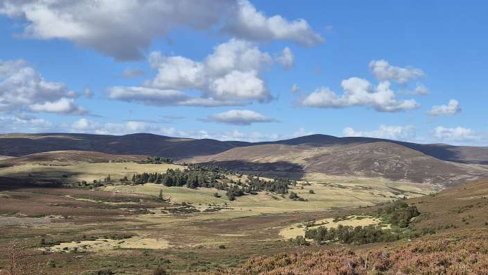 weite Landschaft des Cairngorms National Park
