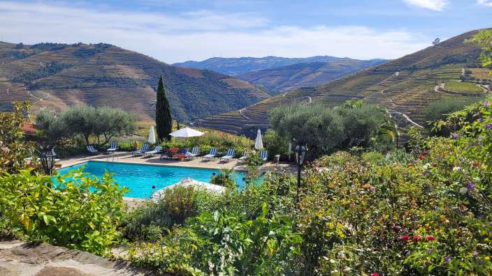 Blick vom Hotel in die Weinberge