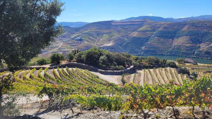 Wanderung am Douro