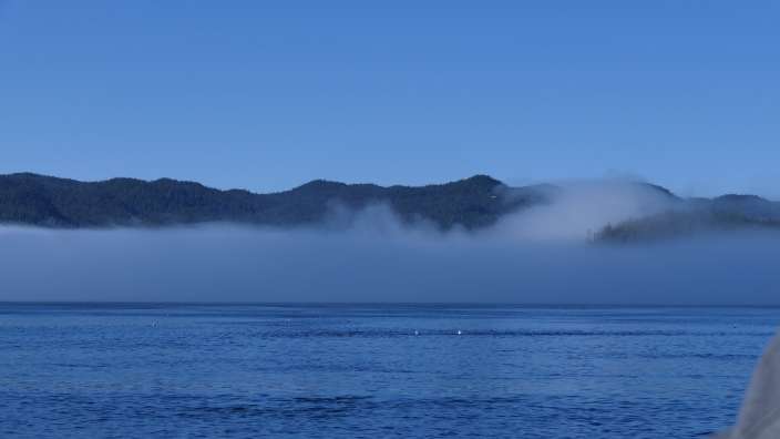 Nebel - malerisch aber ,,,