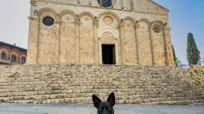 Imposant - Kathedrale von Massa Marittima
