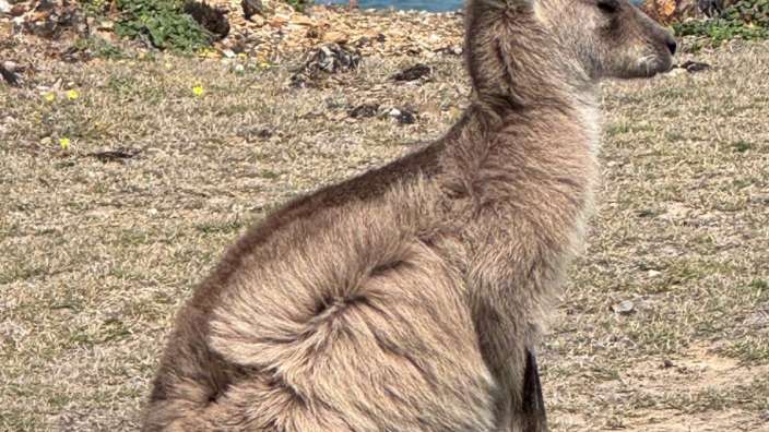 Look at me now Headland walk