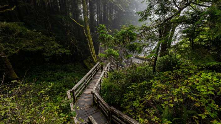 Tonquin Trail, Tofino, Vancouver Island