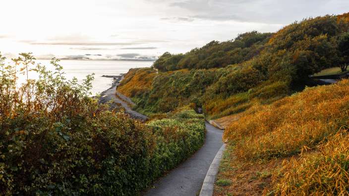 Herbstkulisse am Dallas Rd. Waterfront Trail, Victoria 