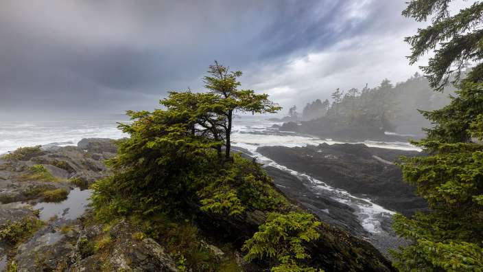 Botanical Beach, Port Renfrew, Vancouver Island