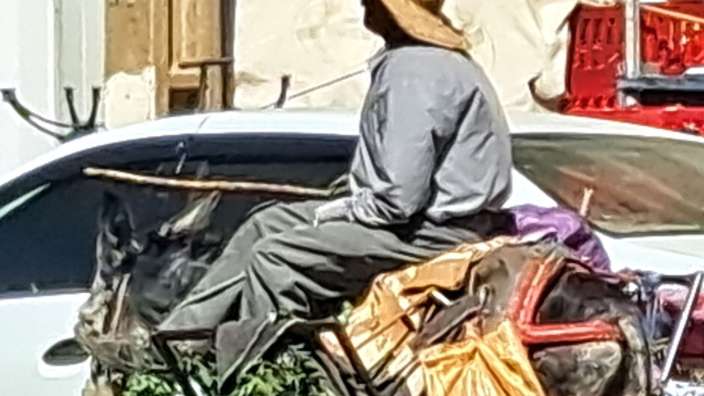 ...auf dem Rückweg vom Einkauf.