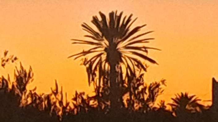 Sonnenuntergang im Palmengarten, Skoura