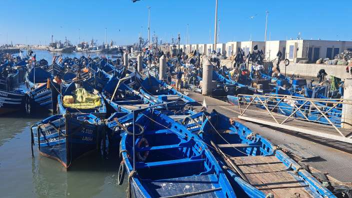 Fischerboote im Hafen von Essaouira
