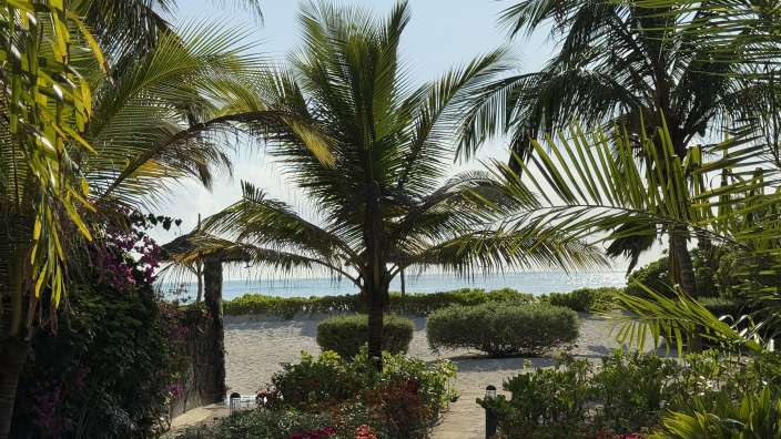 Next Paradise ❤️