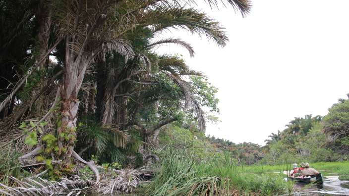 Kanutour durch den Raffia Palmenwald