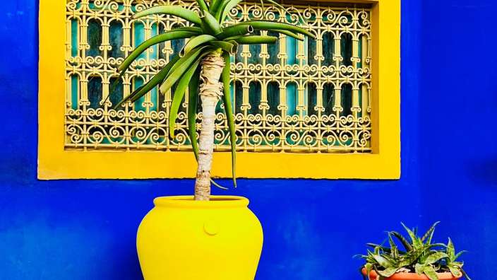 Le jardin Majorelle