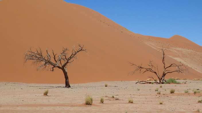 in Sossusvlei