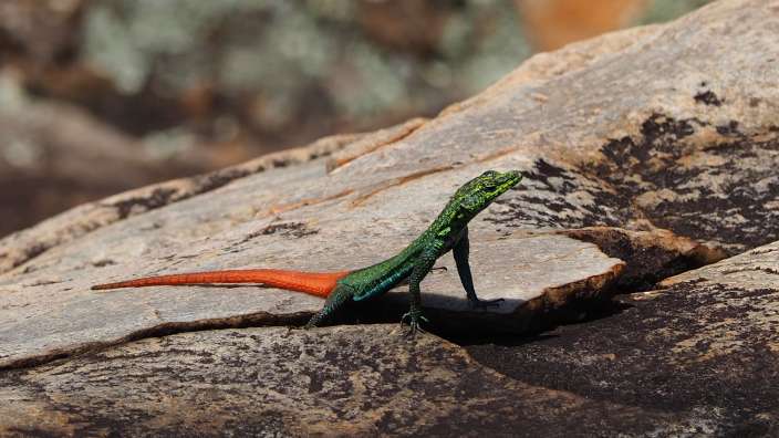 auf unserer Wanderung am Wegesrand entdeckt
