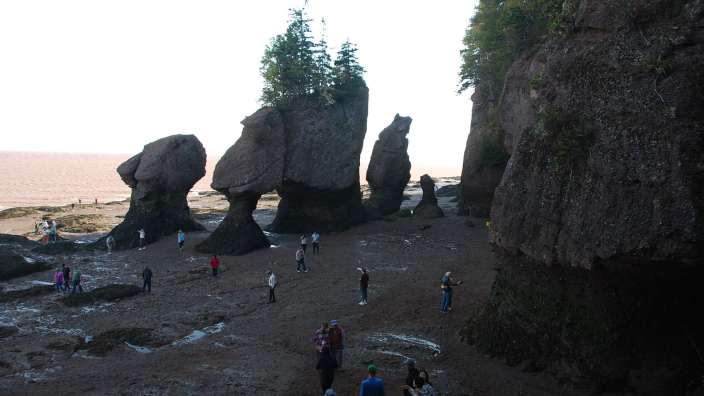Fundy Nat. Park Ebbe