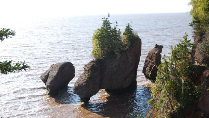 Fundy Nat. Park 