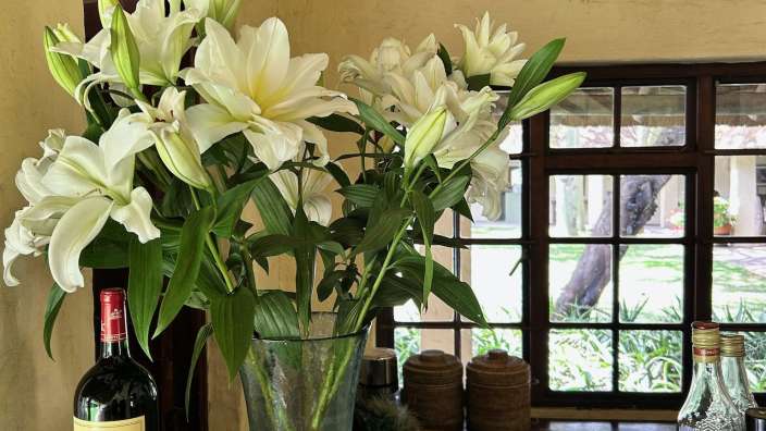 Stilvolle Unterkünfte