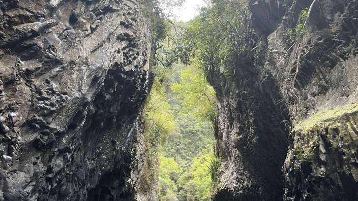 Wanderung durch Schlucht Bras de la Plaine