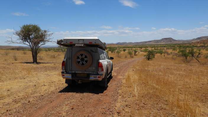 Nordöstlich von Palmwag - Serengeti
