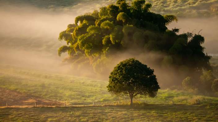Morgenstimmung in den Atherton Tablelands