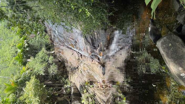 Sauzier Wasserfall/ Mahé