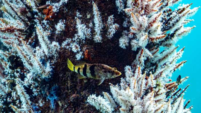 Busselton Jetty Observatory