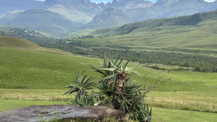 Cathedral Peak from Camp, Drakensberg
