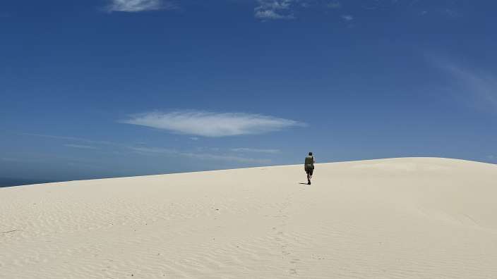 Sand Dunes, De Hoop Reserve