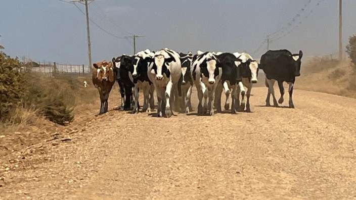 Auf dem Weg in das De Hoop Reserve