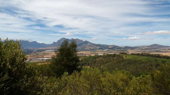 Landschaft bei Paarl