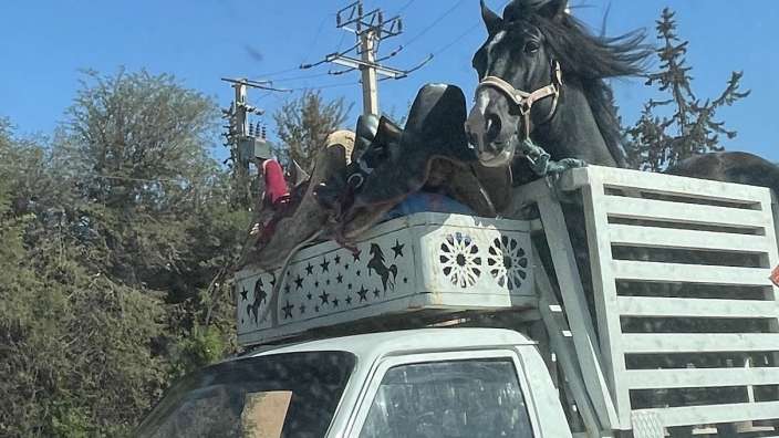 Begegnung auf der Strasse
