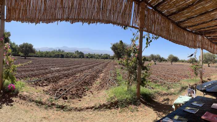 Safrangarten bei Marrakesch