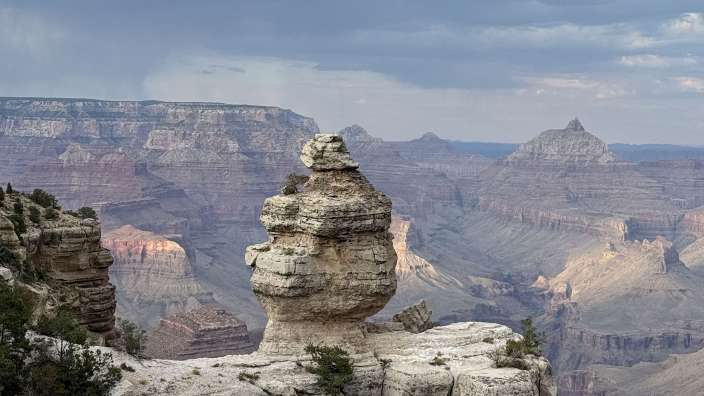 Grand Canyon - Duck on a rock