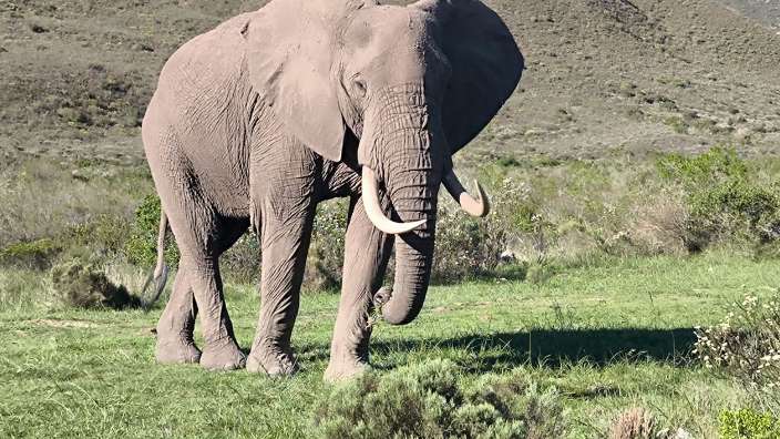 Safari Gondwana Game Reserve
