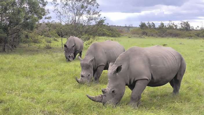 Safari Gondwana Game Reserve