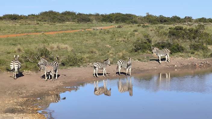 Safari Gondwana Game Reserve