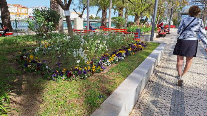 Tavira