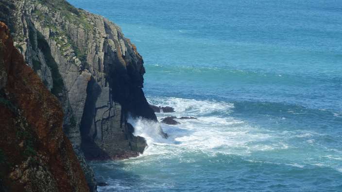 ZAMBUJEIRA DO MAR