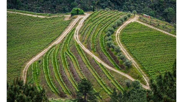 Blick ins Douro Tal , Herrenhaus