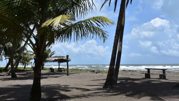 Am Karibikstrand in Tortuguera