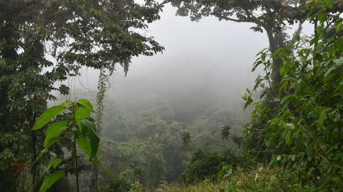 Mistico Park