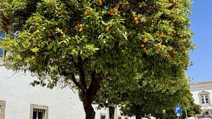 Impressionen aus Faro