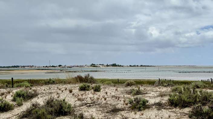 Naturpark Ria Formosa bei Faro