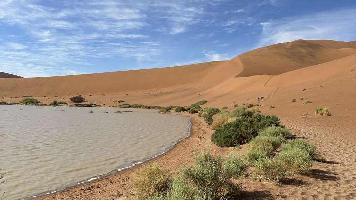 Bid daddy dune