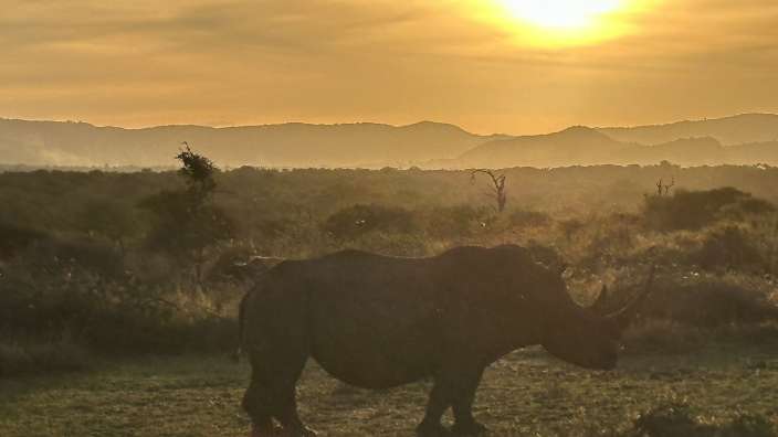 Swasiland 