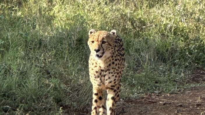 Rhino River Lodge
